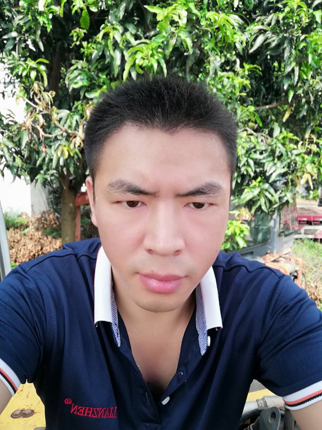 八十四天的照片