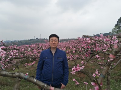 会员837255208的照片