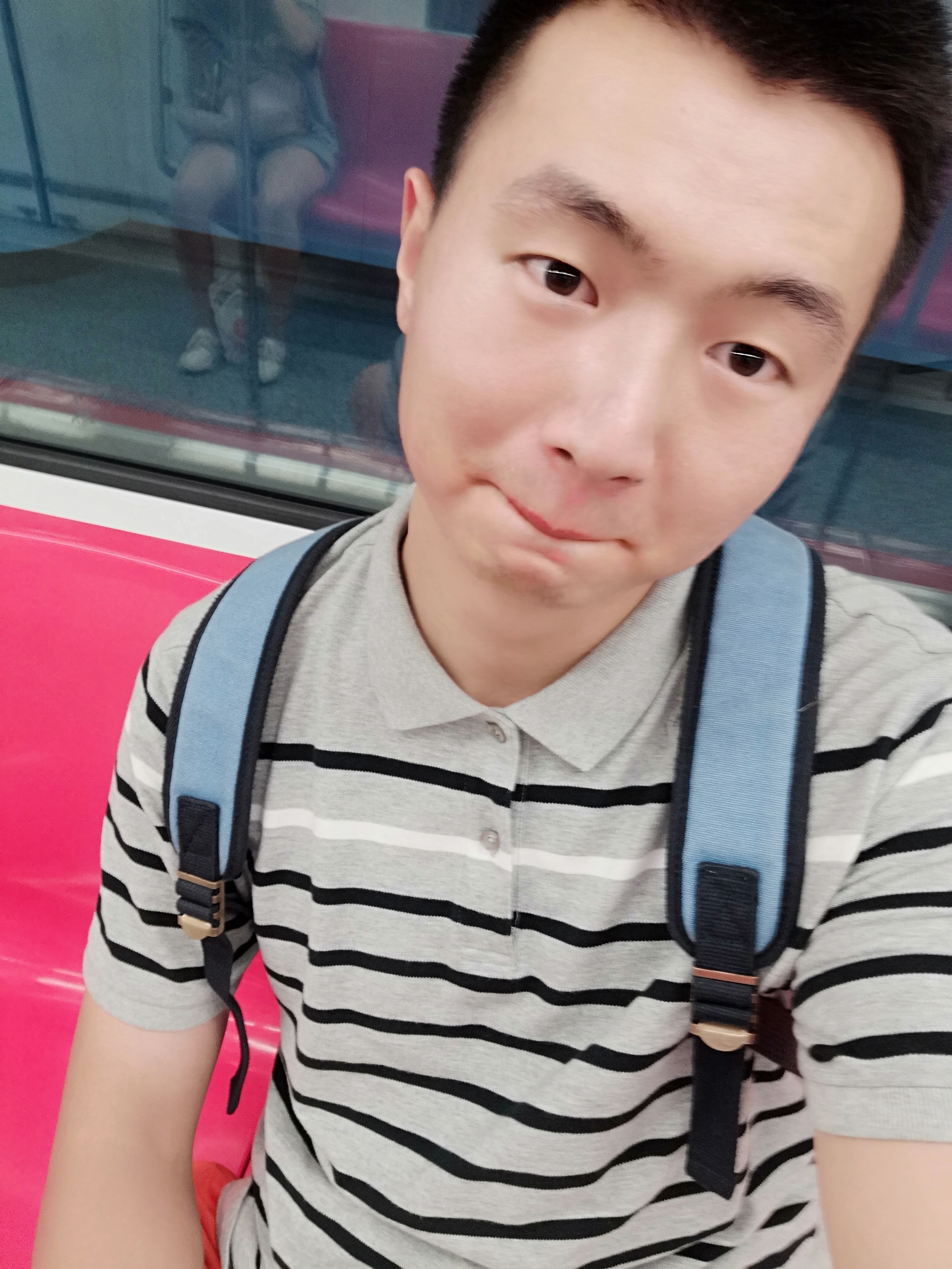 小洋羊的照片