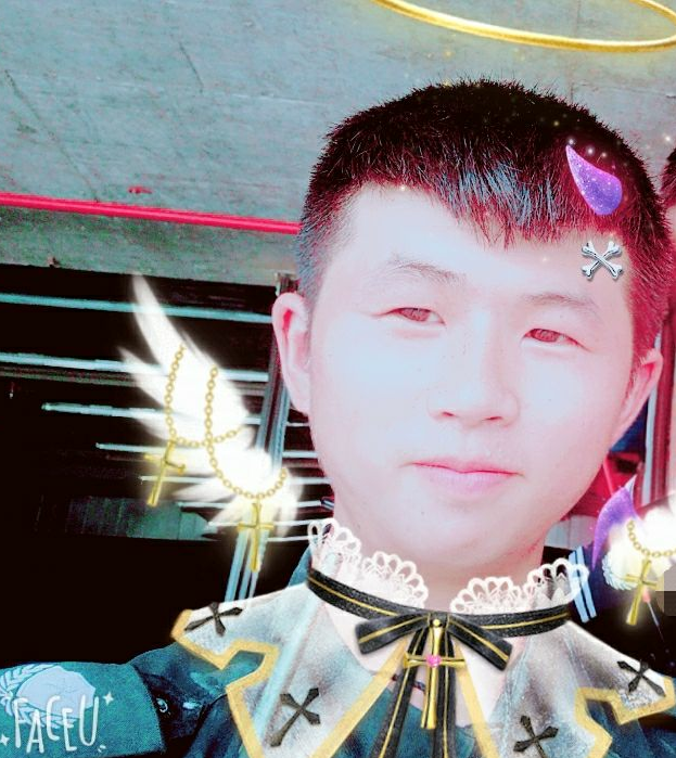 孤傲的苍狼的照片