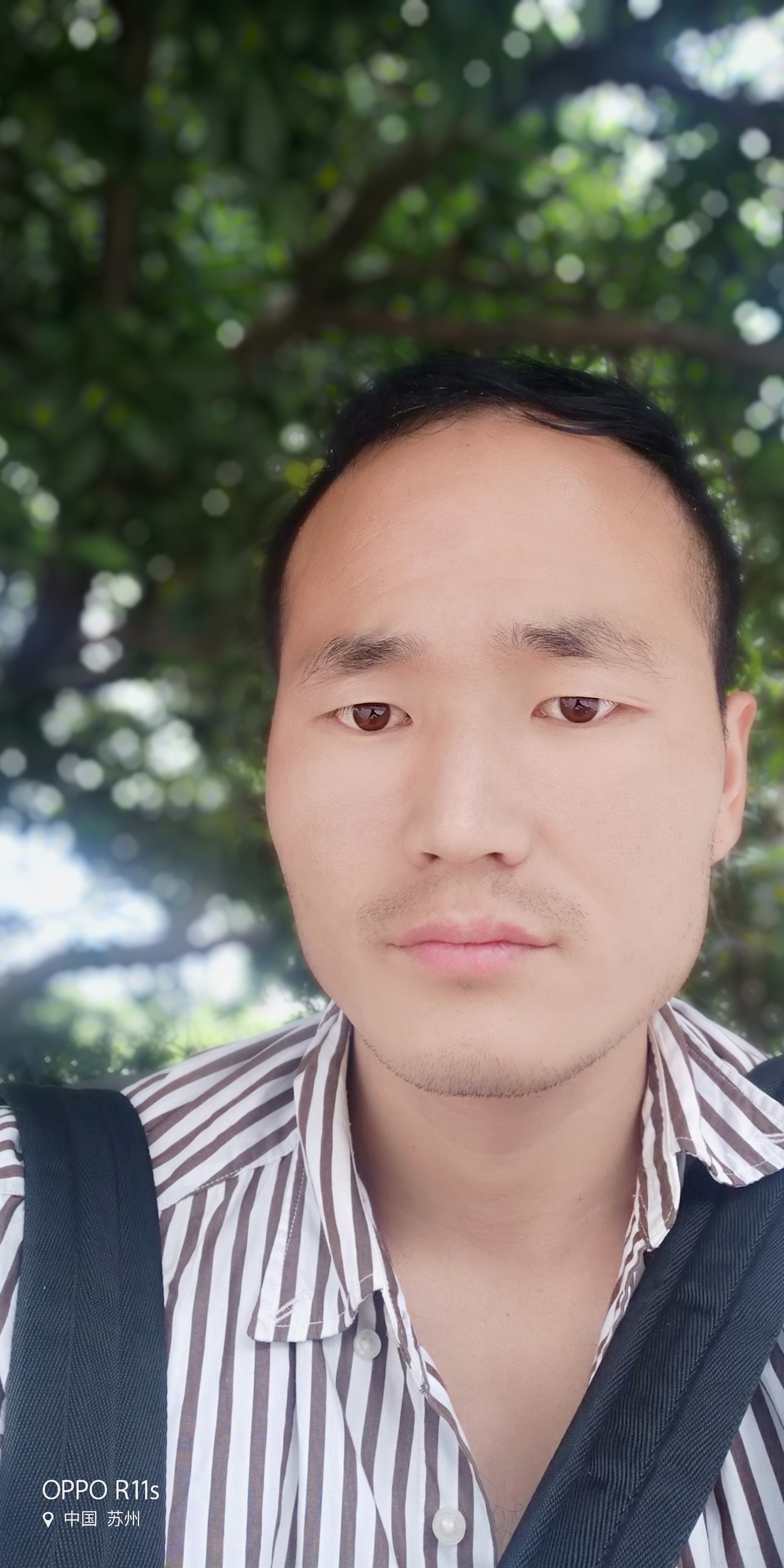 会员345359704的照片