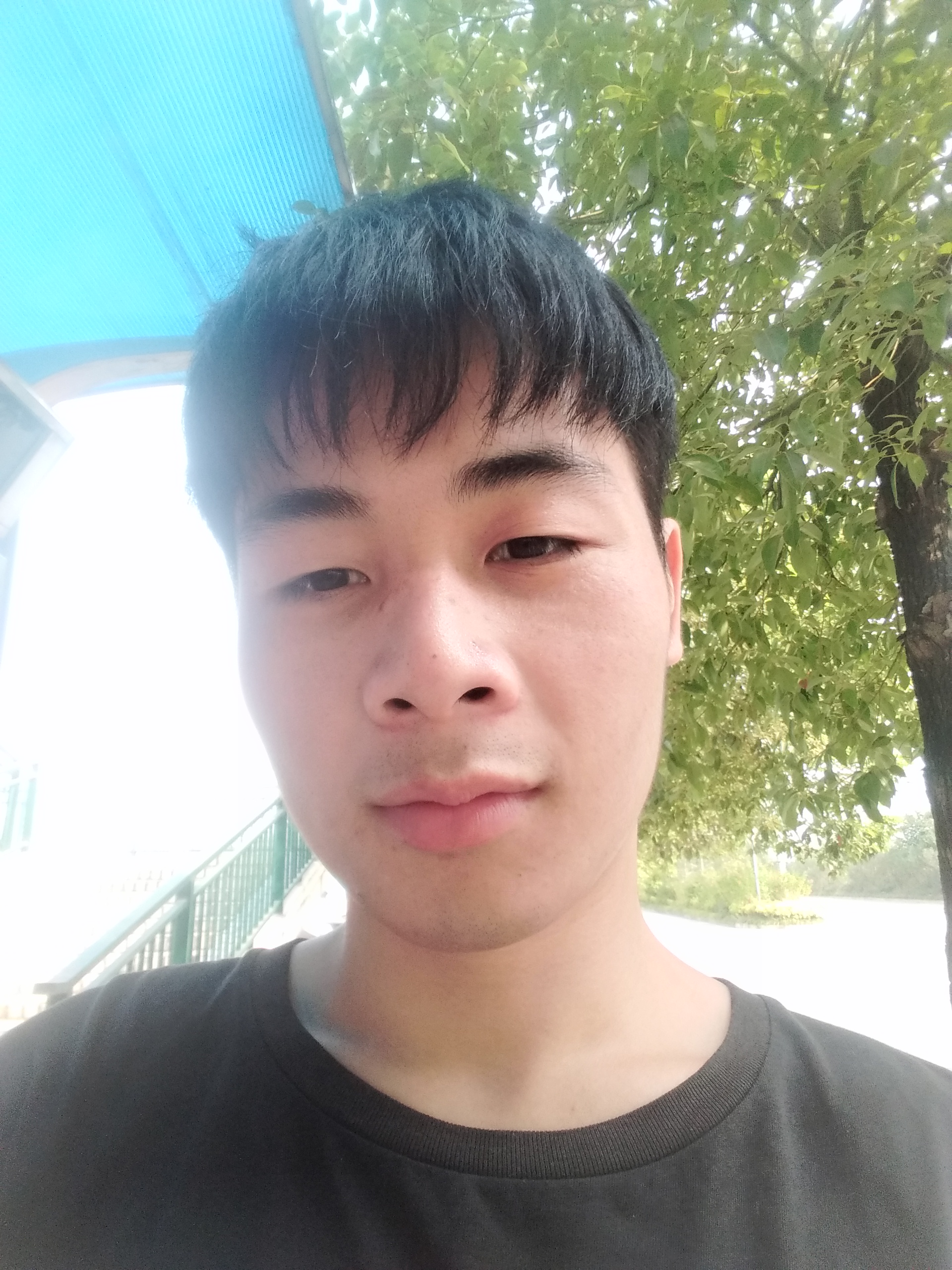 。afg的照片