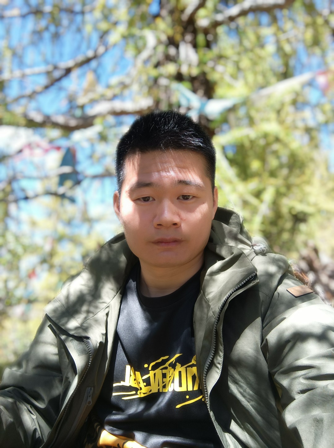 风中飘落的叶子的照片