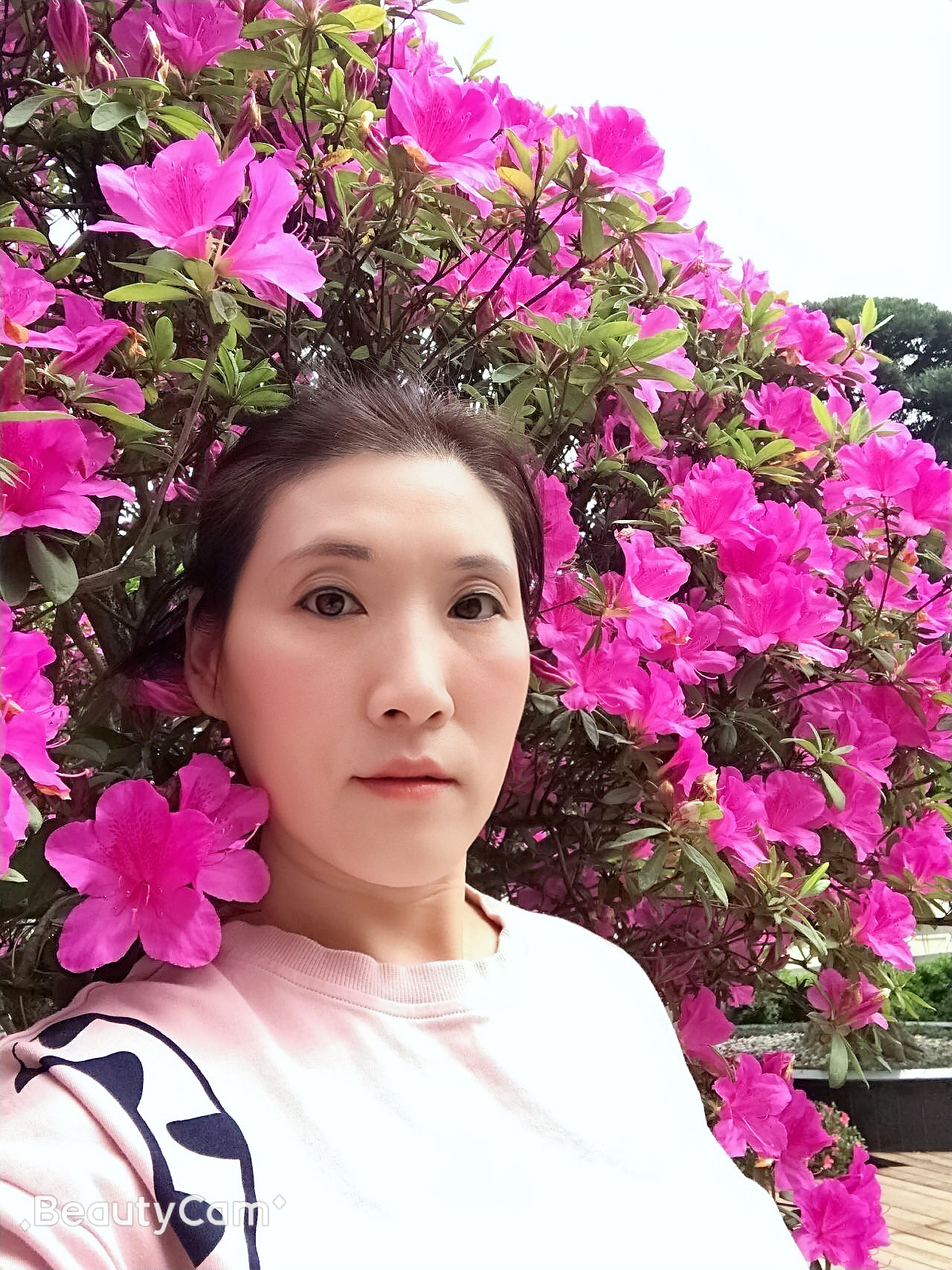 着急断夏的照片