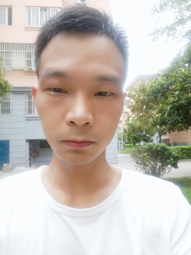 一切刚刚开始的照片