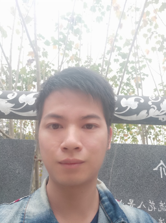 中心三块金的照片