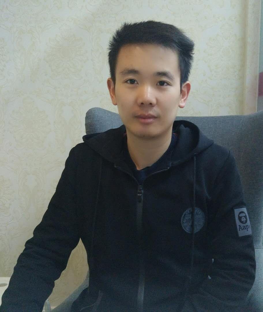 青色的叶子的照片