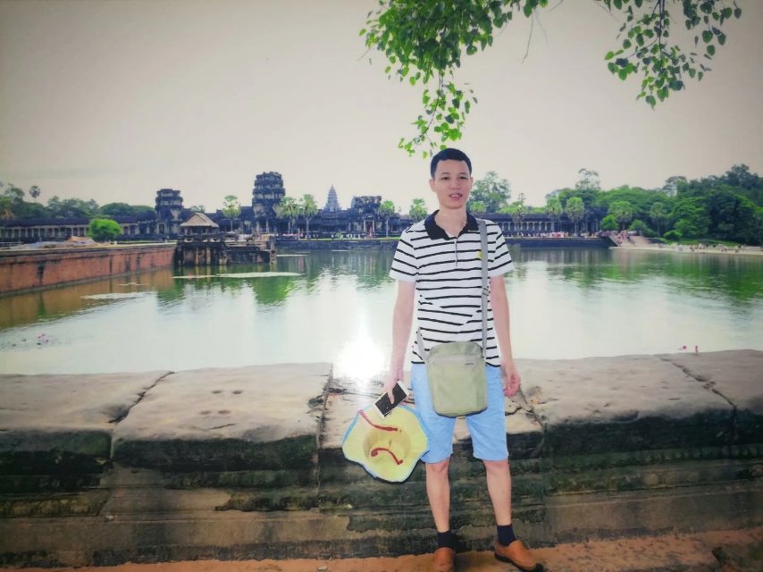 圆李树的照片