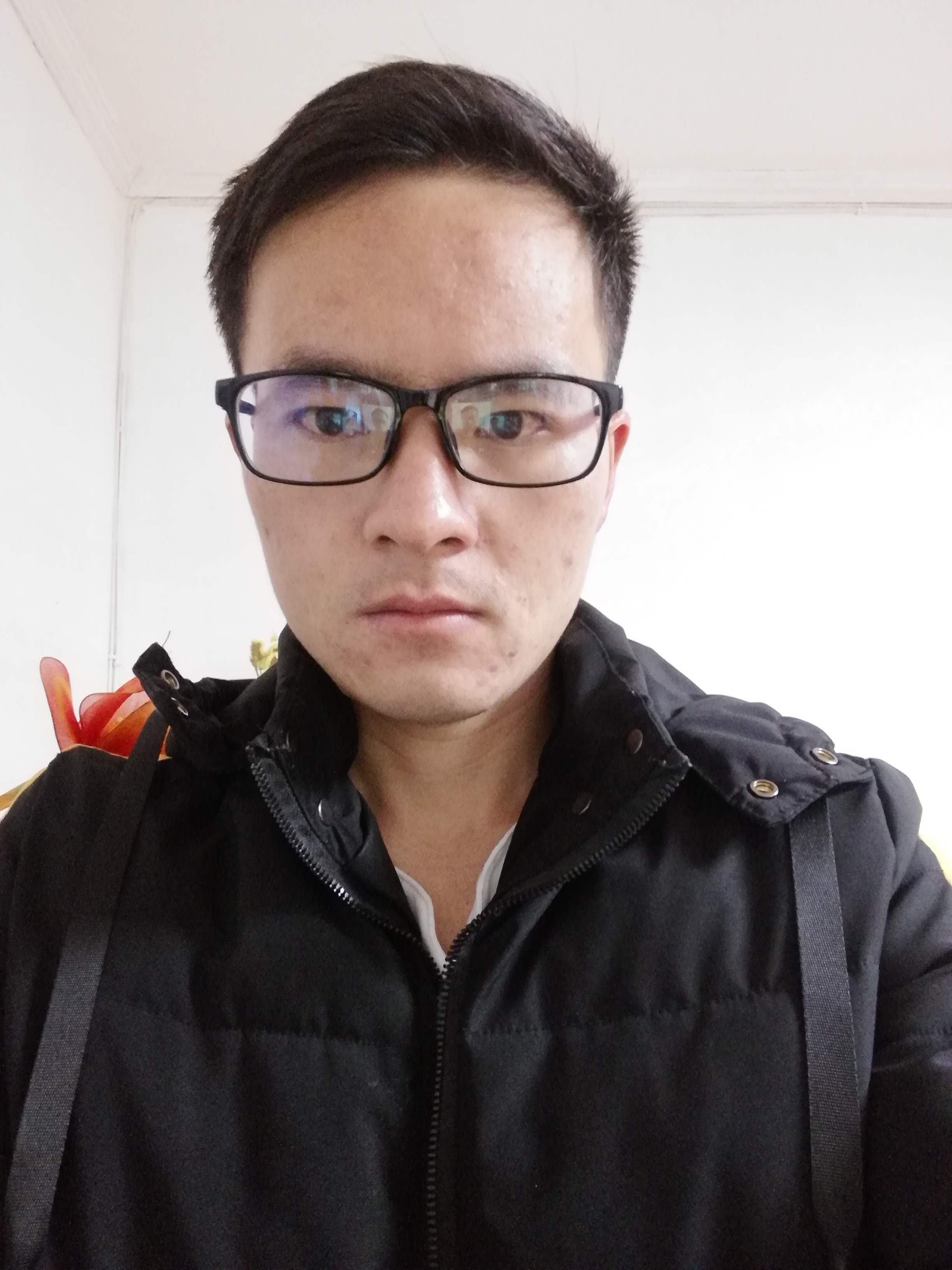 停一下的照片