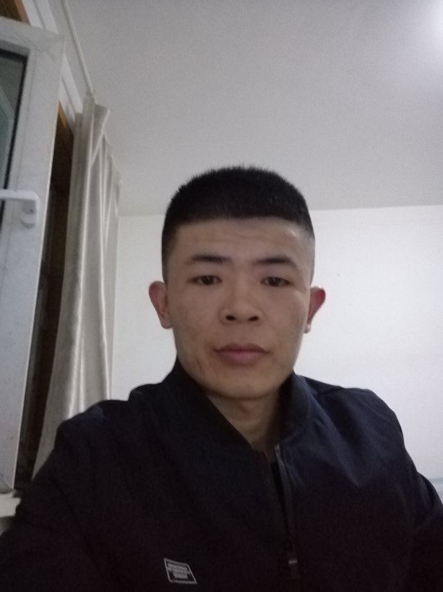 梦在未来绽放的照片