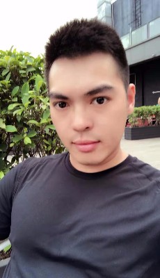 迷路的林中鸟的照片