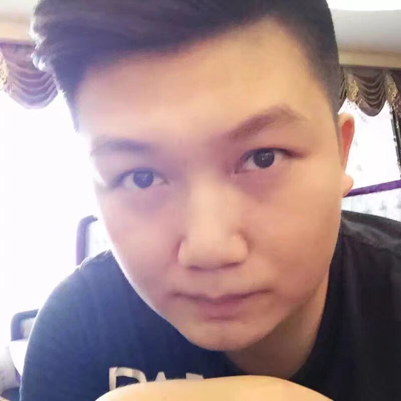 平凡的狮子座的照片
