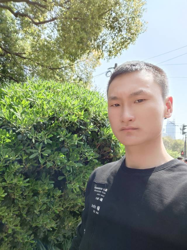 小短腿tt的照片