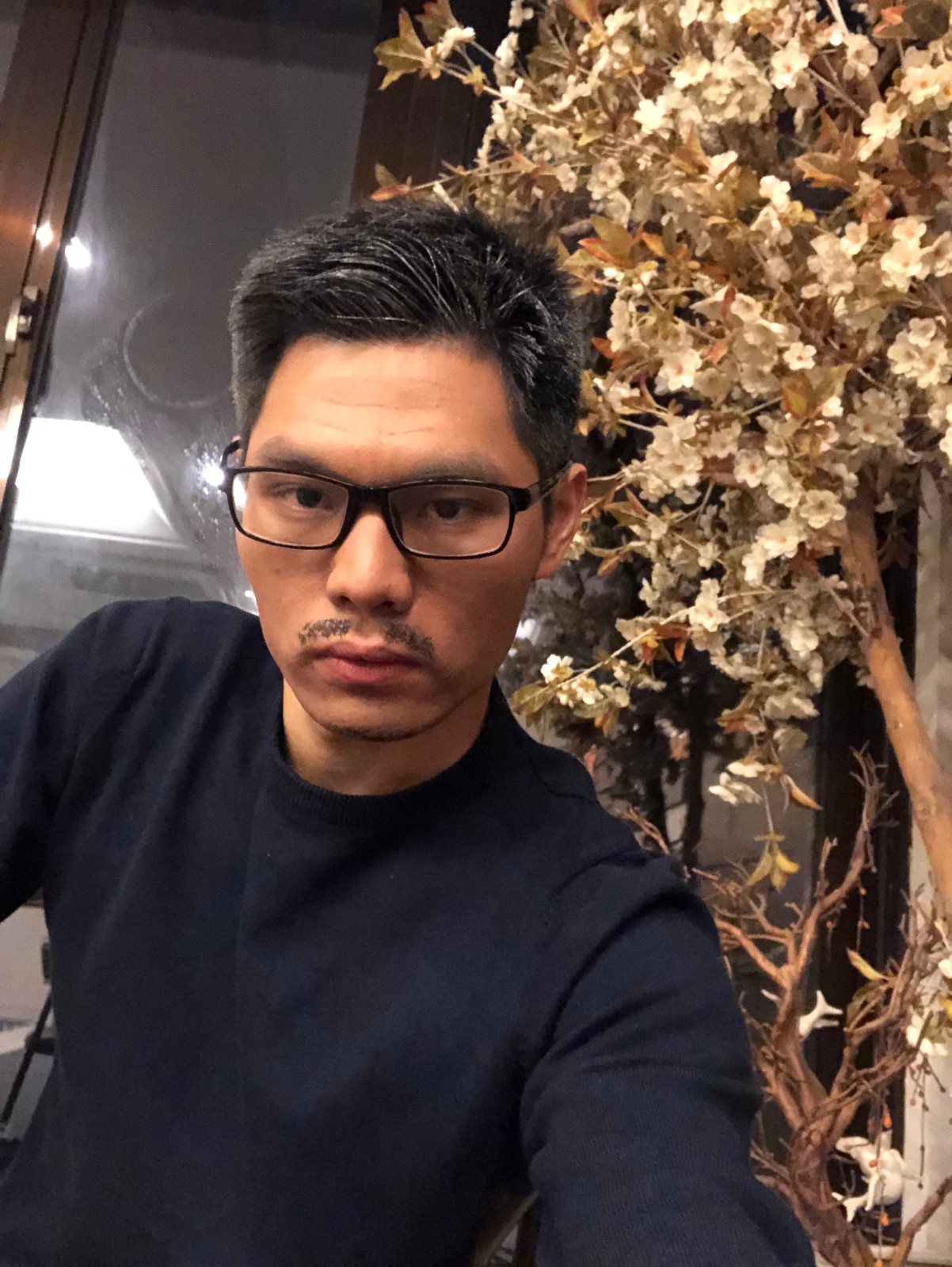 求索11的照片