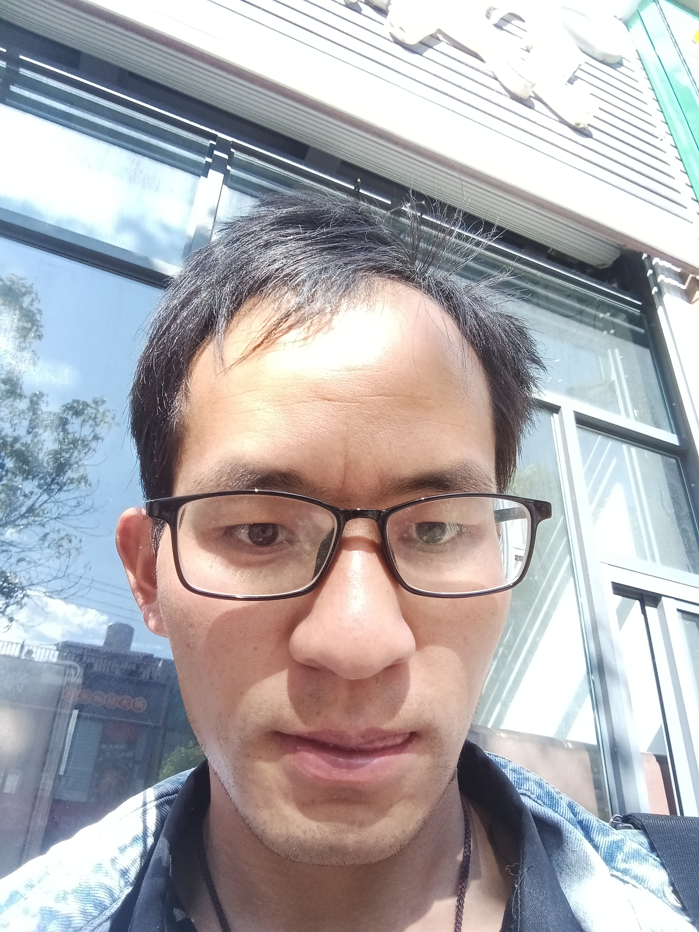 希望春天到来的照片