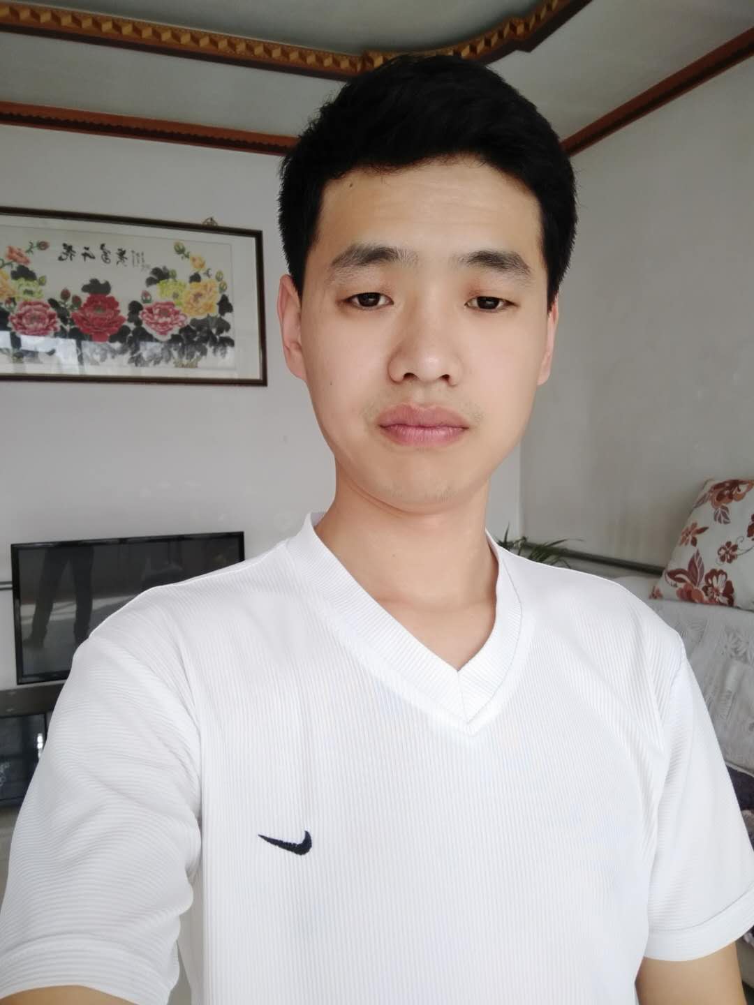 马到成功，的照片