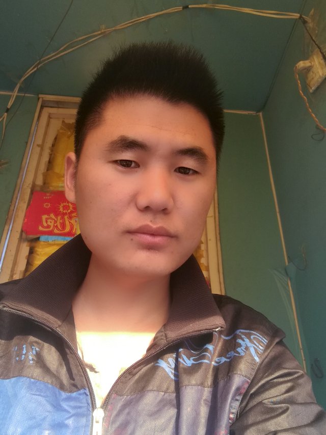 一只小帆的照片