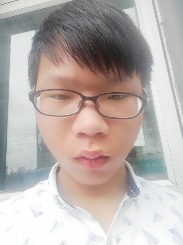 龙乐园的照片