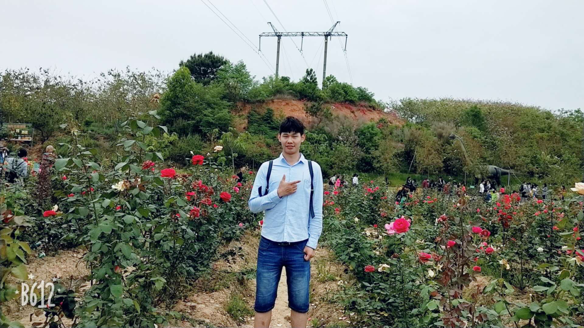会员382225952的照片