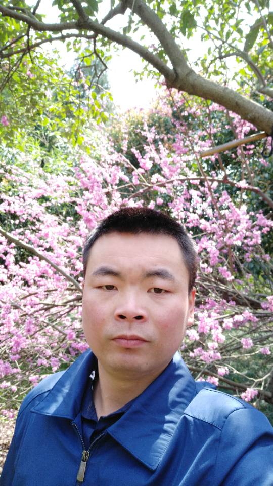 悟聪的照片
