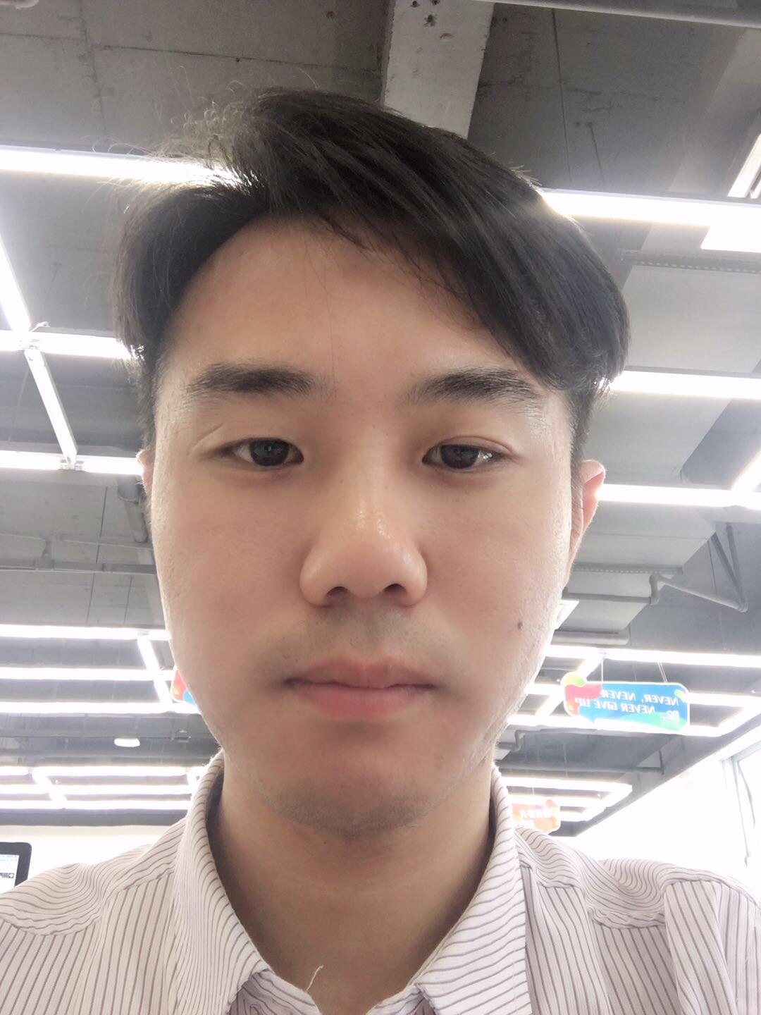 青风飞絮的照片