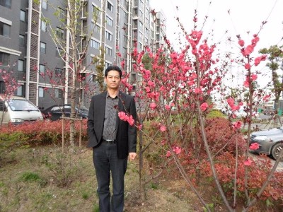 鲜花盛开之时的照片
