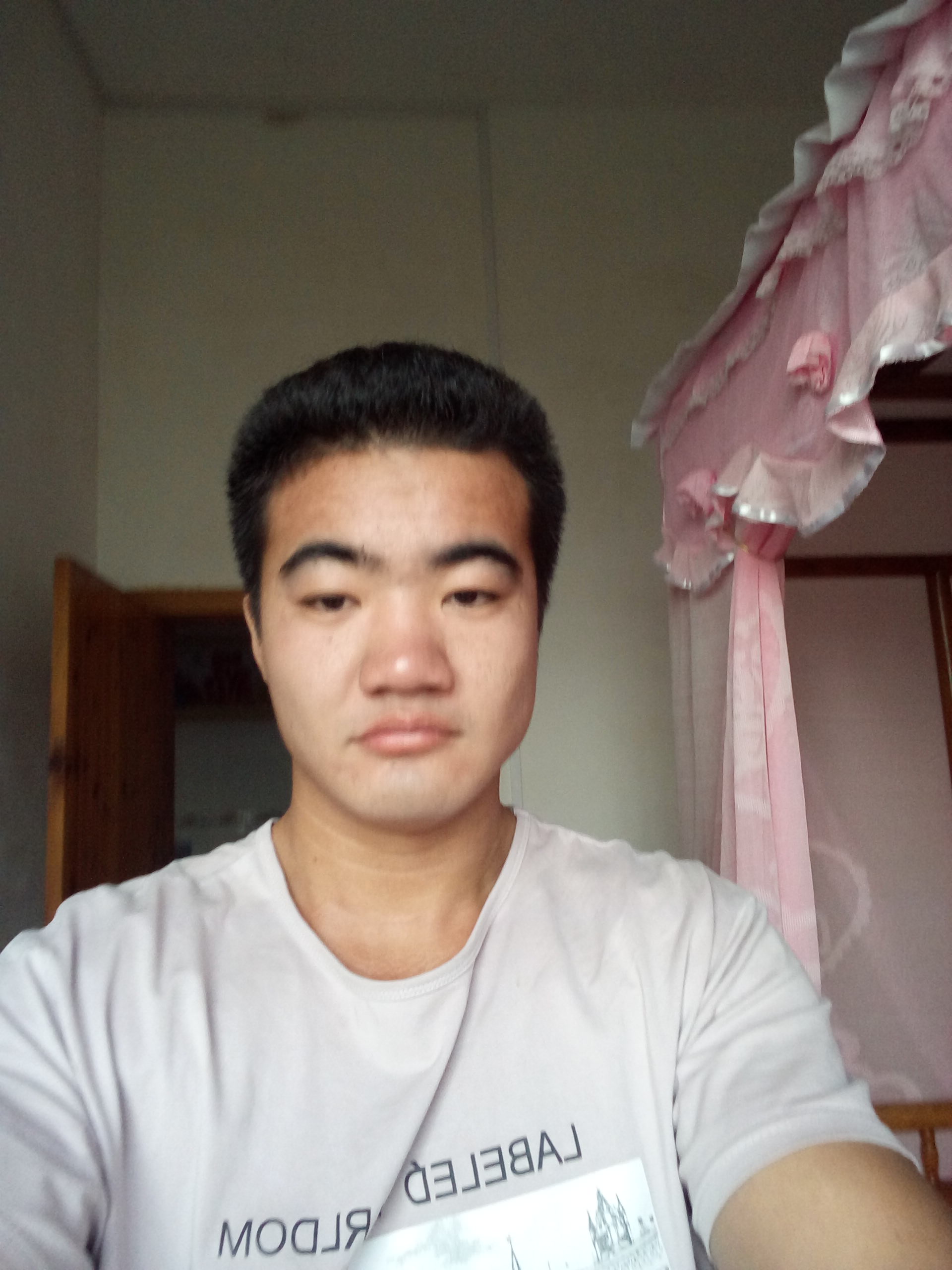 大京杨的照片