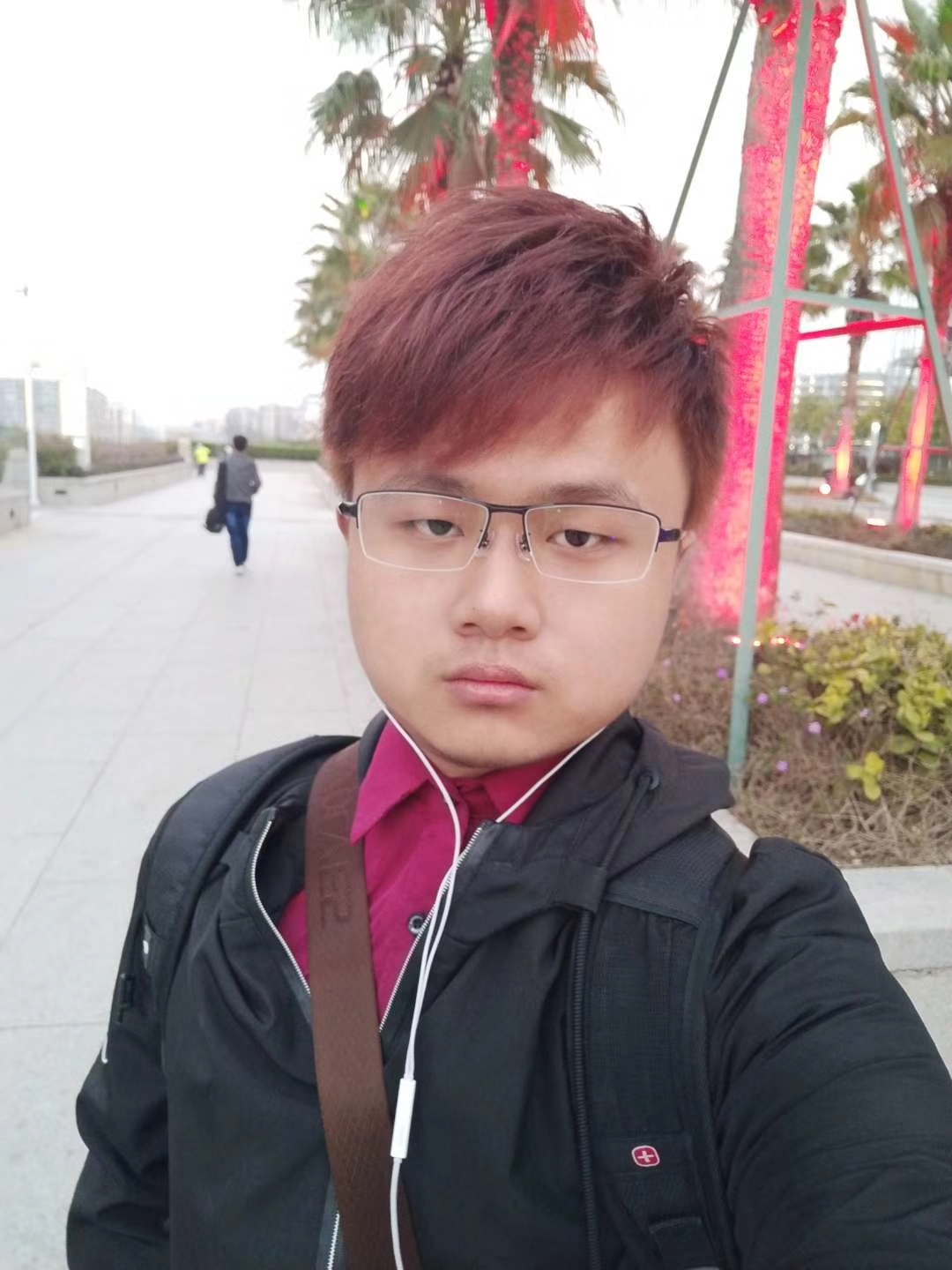 蔷薇的毒刺的照片