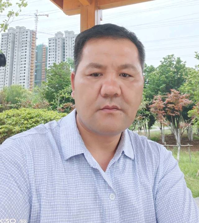 凤栖梧桐66的照片