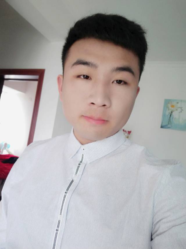奋斗的石头。的照片