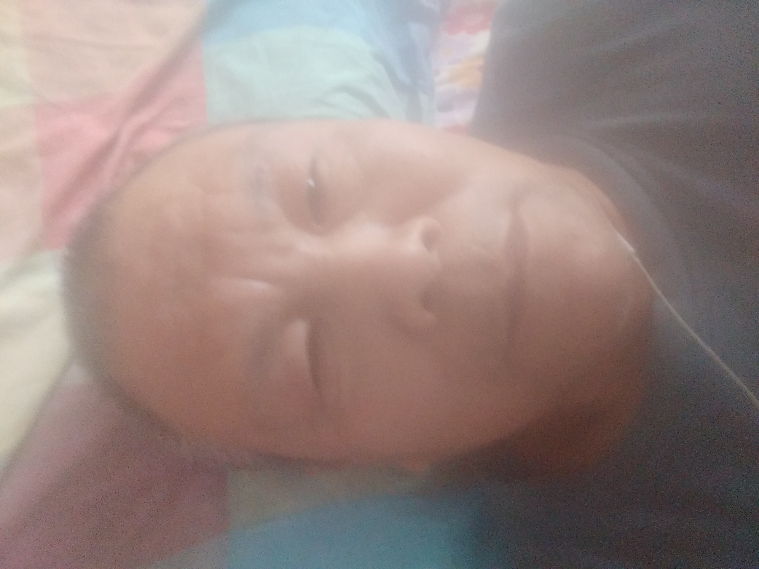 哈啦要的照片
