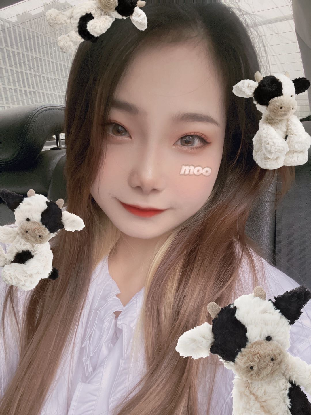 会员310312055的照片