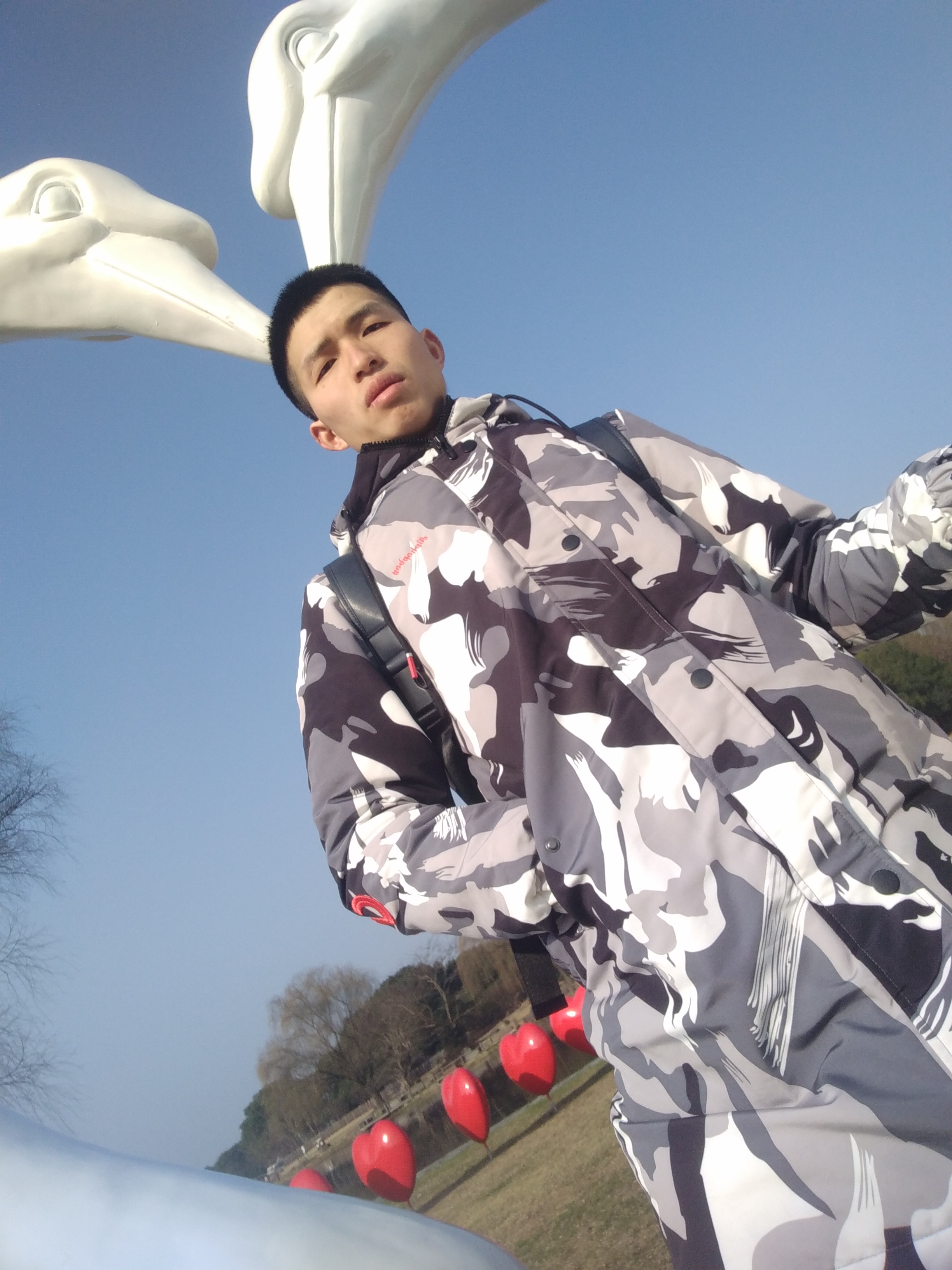 会员408733674的照片