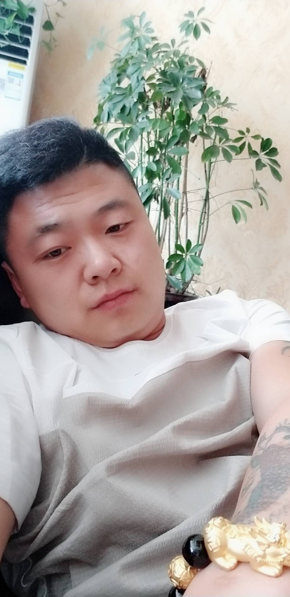 会员669819731的照片