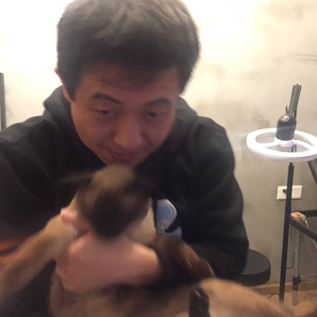我来组成头部的照片