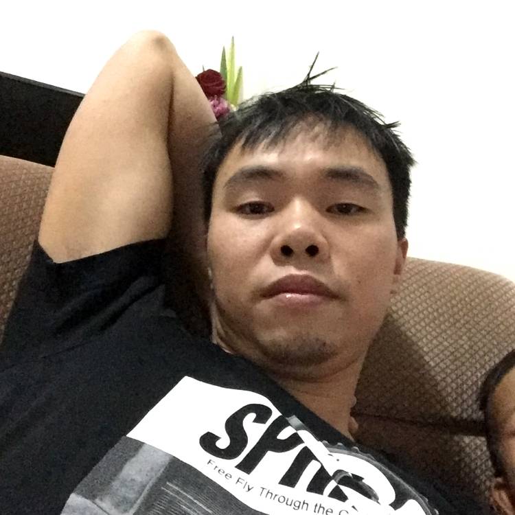 传统飞鸟的照片