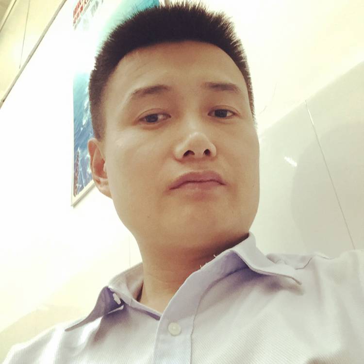 華麗洋葱的照片