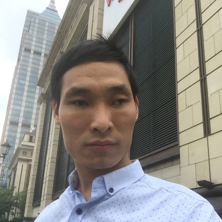 怕孤单仙人掌的照片