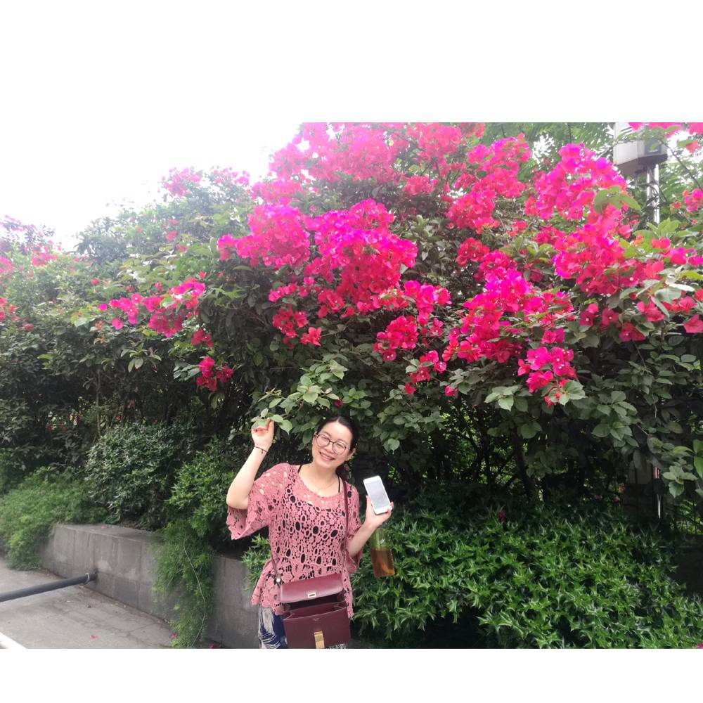 依然234的照片