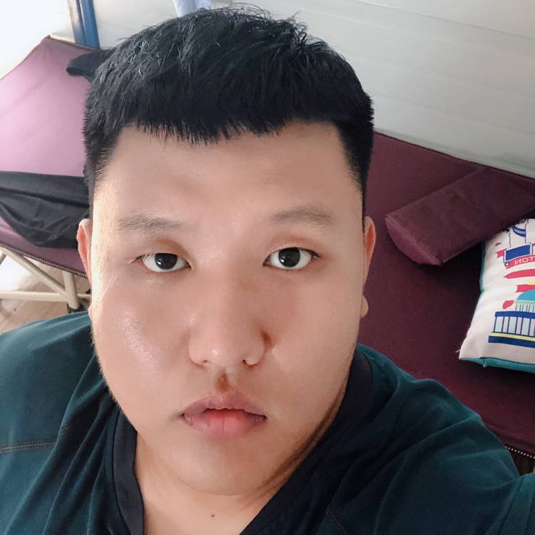猪猪在江湖的照片