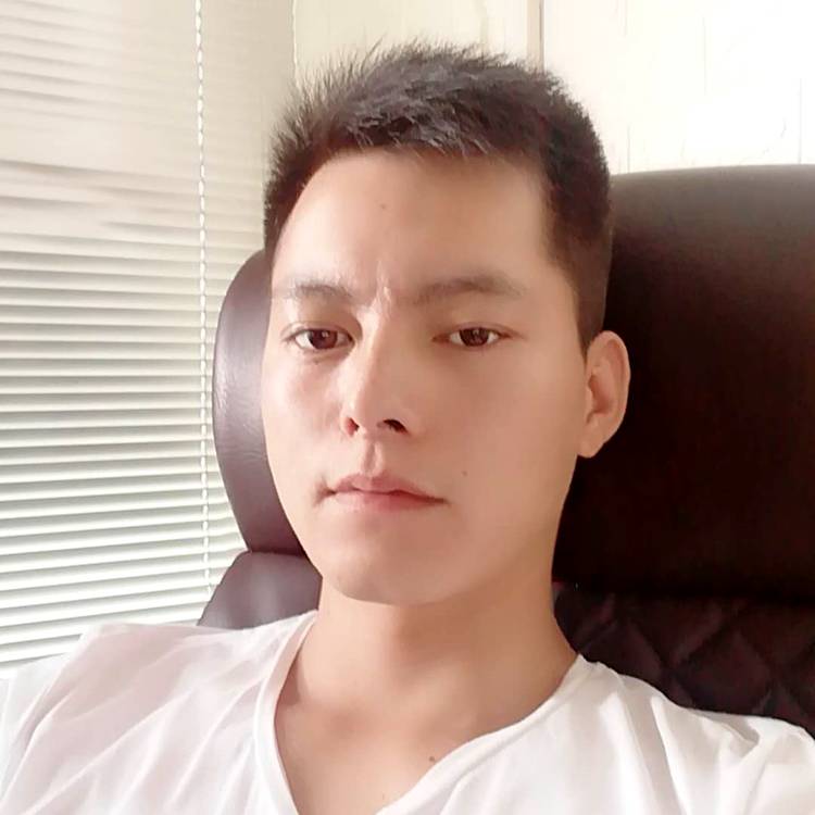 活力橘子的照片