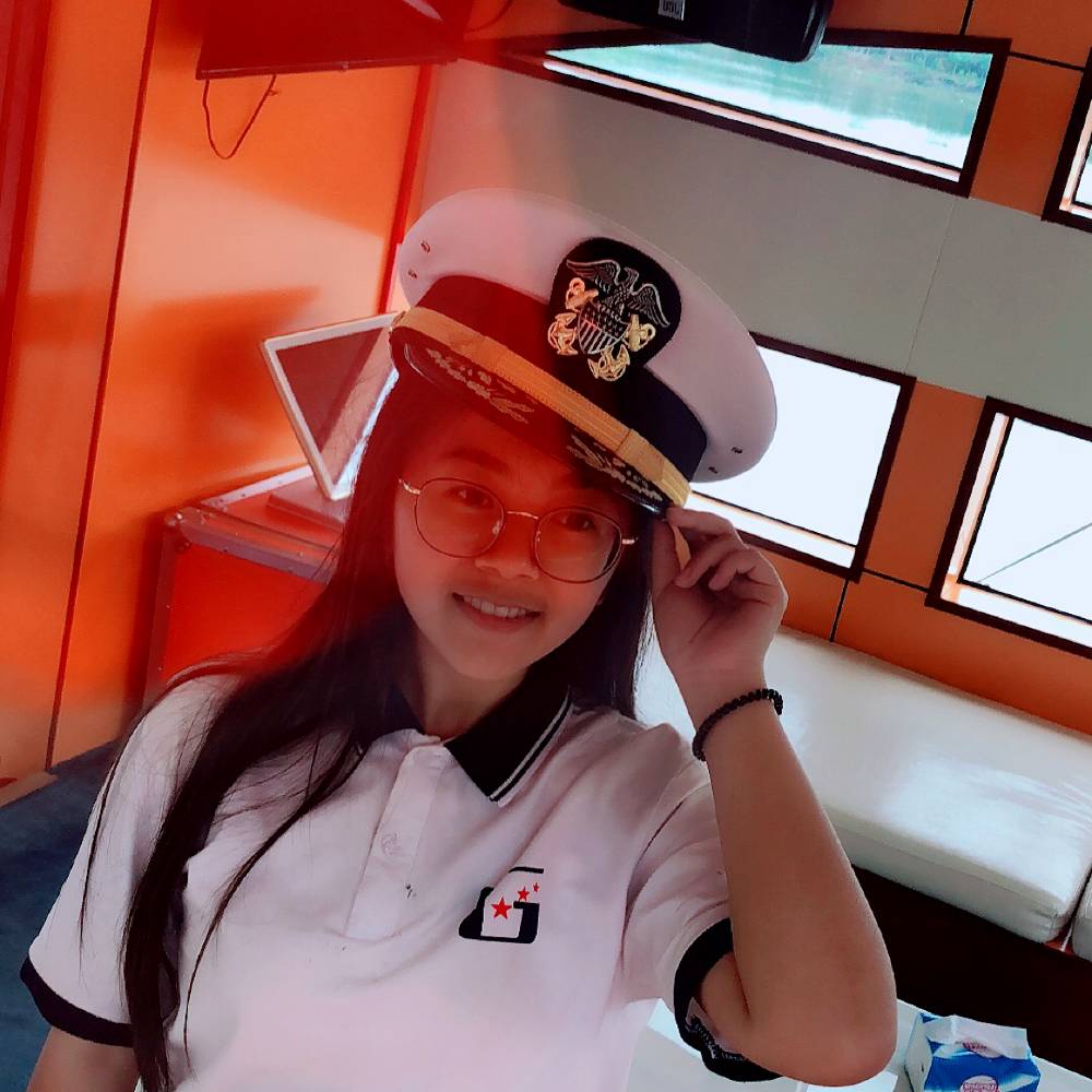 矮小乌龟的照片