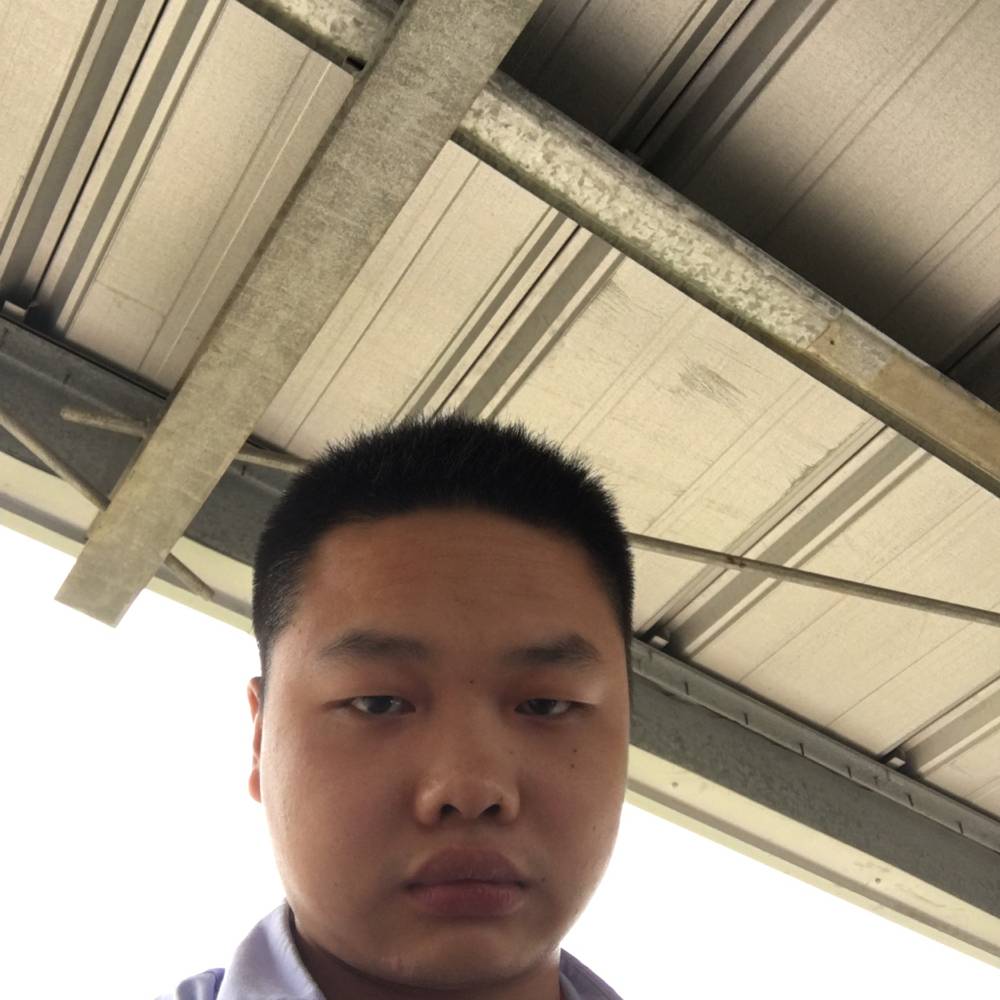 为何执迷不悟的照片