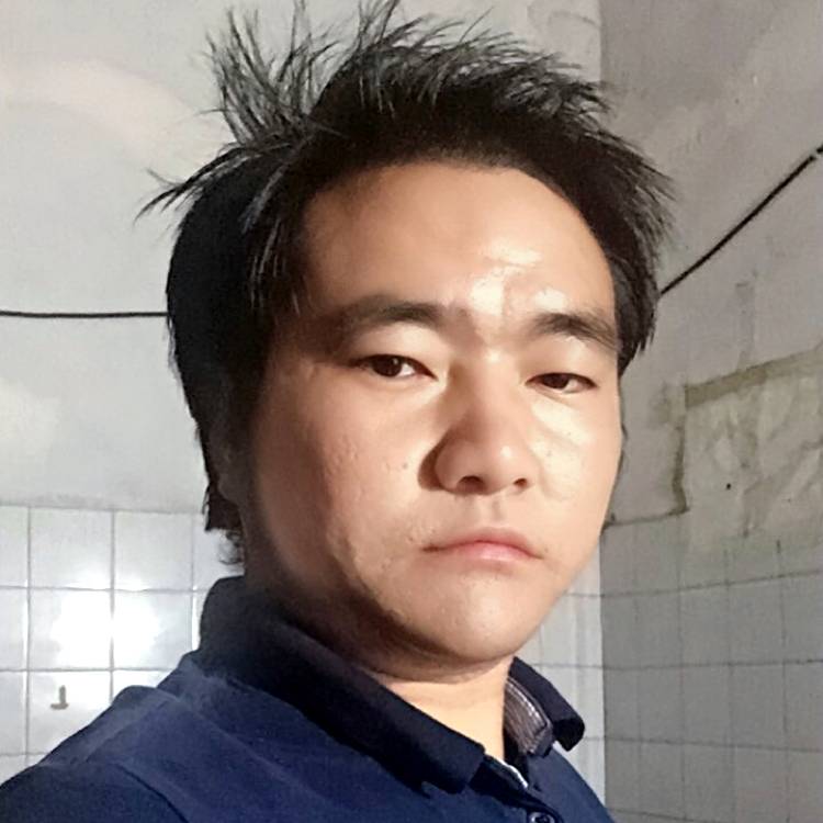 美丽的鲜花的照片