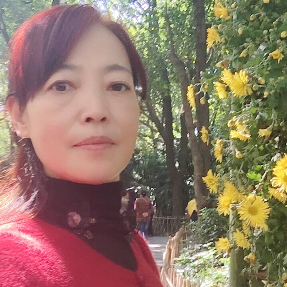 纯情玫瑰的照片