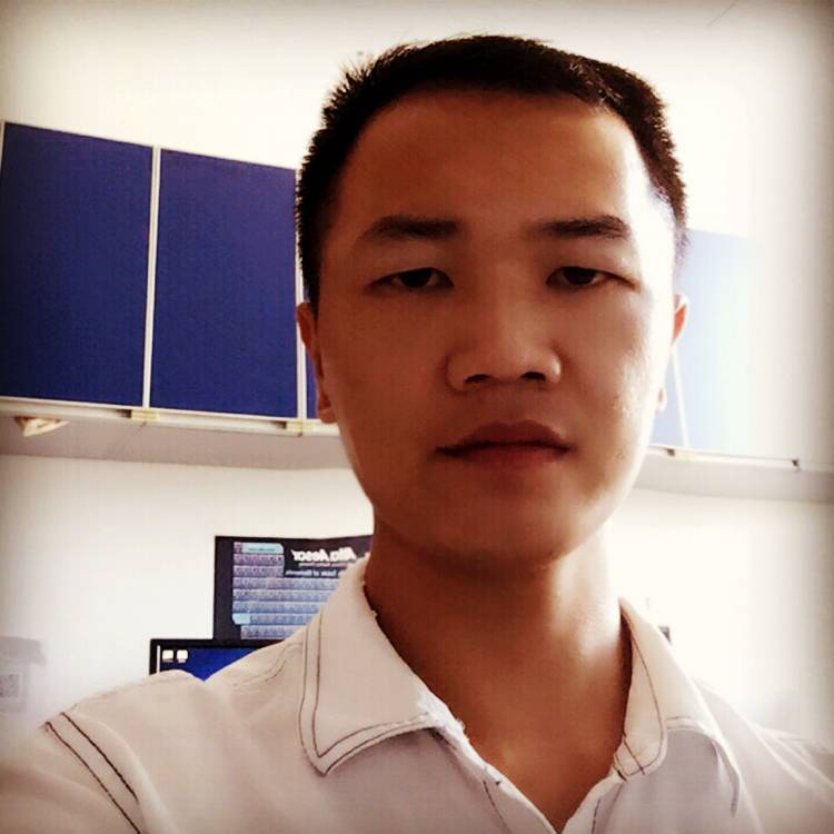 大魏宫廷的照片