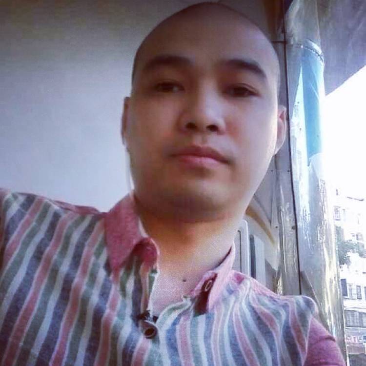 平淡含羞草的照片