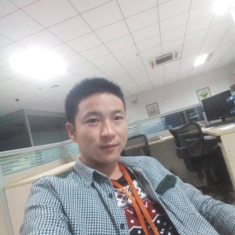 槑森木的照片