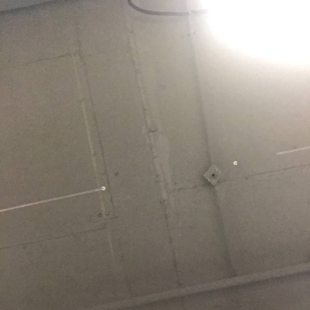 神勇网络的照片