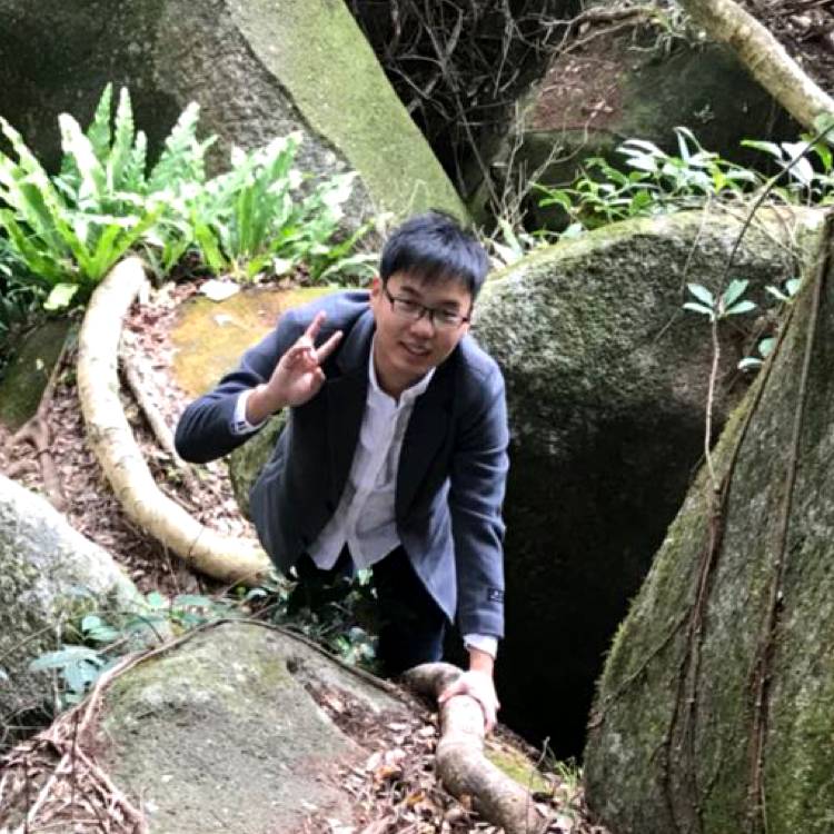 达哥是个小胖子的照片